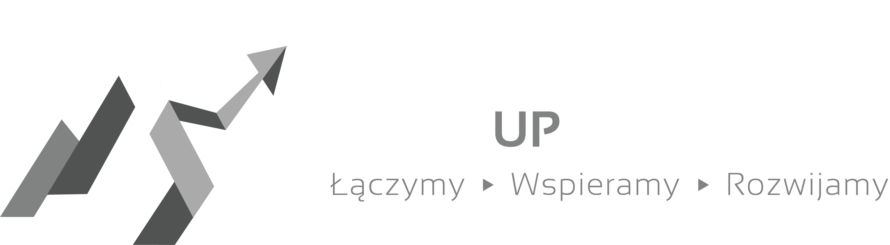 Startup Podbeskidzie Partner icon