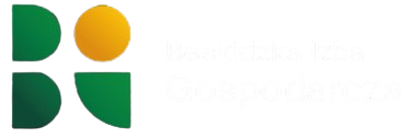 BIG Partner icon