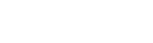 Shopify Partner icon